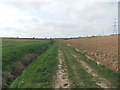 Track near Butt Farm in HU17 8YA