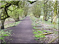 Path on the North Edge of Clifton Moss in M27 6NP