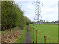 Path between Ryder's Farm and Manor Farm, Clifton Moss in M28 3NE