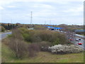Between the Carriageways of the M60 at Linnyshaw Moss in M28 3NE
