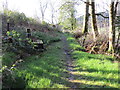 Woodland path descending towards Gorton Cottage, Carradale in PA28 6QG