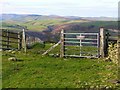 Gate on bridleway, Gyrn Moelfre in Llansilin Community