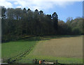 Fields towards Stoke Wood in SY7 9AZ