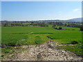 Large crop field, Corvedale in TF13 6JZ