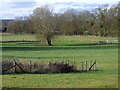 Pasture, Thatcham in RG7 4SG