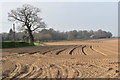 Ploughed fields on the edge of Holbrook in IP9 2QY
