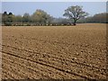 Farmland, Ashford Hill in Ashford Hill with Headley