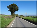 Tree beside the B4378 towards Bourton in TF13 6QQ