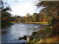 Autumn on the River Dee below Hill of Trustach in AB31 4AR