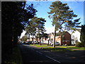 Springfield Road, Falcon Lodge in B75 7JH