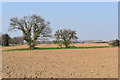 Ploughed fields on the northern edge of Harkstead in IP9 1BL