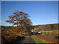 The road from Cairnton - looking north in AB31 4BB