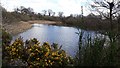 Sparham Pools - from Wensum Way in NR9 5RA