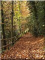 Footpath above Skelton Beck in TS12 1LT