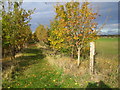Biggleswade: Footpath near Stratton Farm in SG18 8YY