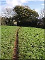 Footpath to Nut Bush Lane in TQ2 6EJ