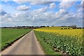 Rape field by Hollow Road in CT3 4DZ