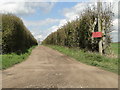 Roadway to Allotment Farm in IP25 7BB