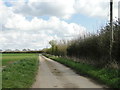 Un-named dead end road leading to Quidney Farm in IP25 7BB