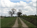 Track to Waite Farm in IP25 7BE