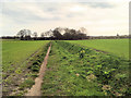 Path across Farmland near Windle Brook in WA10 6DZ