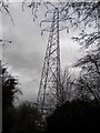 Pylon among the trees north of Wall Heath in DY3 4LP