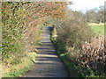 Lane near Watch Currock Farm in NE46 2NT