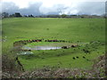 Pond and grazing, Callow in HR2 8BU
