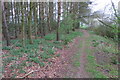 Footpath by the plantation in MK43 7JJ