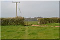 Footpath through field gate in SO41 8LD