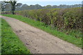 Footpath on track south from Batchley Farm in SO41 8LD