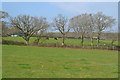 Fields beside path at Oak Bank Farm in SO41 0FL