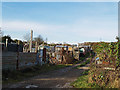 Allotments at North Skelton in TS12 2BB