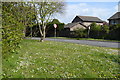 Roadside daisies and dandelions at the end of Everton Road in SO41 0RR