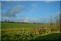 West Oxfordshire : Grassy Field in OX18 4ET