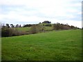 Hill near Llwynmadoc Farm in Abermule with Llandyssil Community