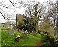The churchyard, West Bagborough in TA4 3EQ