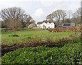 Thatched cottage and garden, West Bagborough in TA4 3EQ