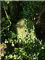 Old Milestone by Shepherdsgate Road, Tilney All Saints parish in PE34 4RP