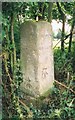 Old Milestone by Free's Avenue, Marlborough in SN8 4HB