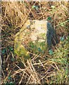Old Milestone, A4095, Station Road, opposite Deanery Farm in OX18 2FJ