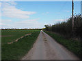 Looking East down Country lane in IP25 7BB