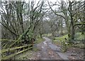 Cattle grid in valley east of Twitchen in EX36 3LS