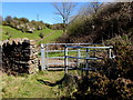 Kissing gate to a rough path near Llechryd in NP22 5QH