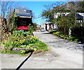 Daffodils at the entrance to the Rhymney House Hotel near Llechryd  in NP22 5QH