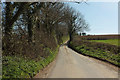 Lane near Barnston Farm in TQ9 7PZ