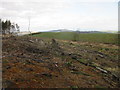Felled woodland on Mount Hill in KY15 7FA