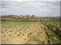 Field west of Pinxton (1) in DE55 3DE