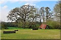 Collapsed barn near Home Farm in TN18 5DL