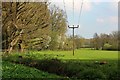 Electricity poles near The Paper Mill in Hawkhurst, Sandhurst & Benenden Ward